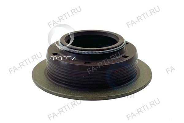 Манжета 25*40*15 ZF SKT